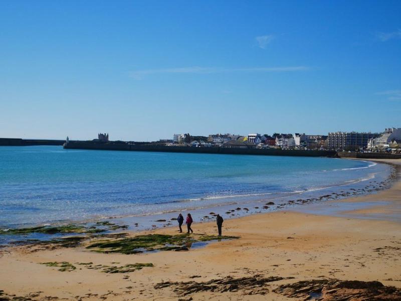 Studio 29m² pour 4 pers centre Quiberon proche plage - image 12