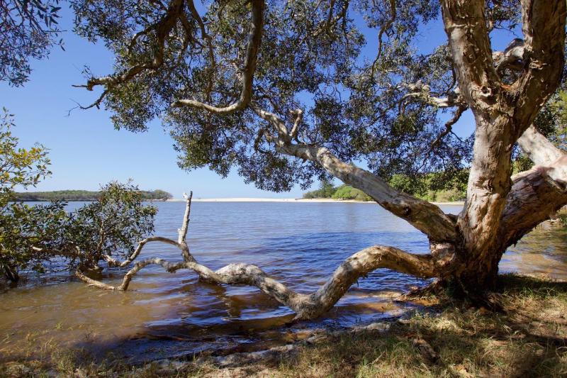 23 Bryce St Moffat Beach - image 6