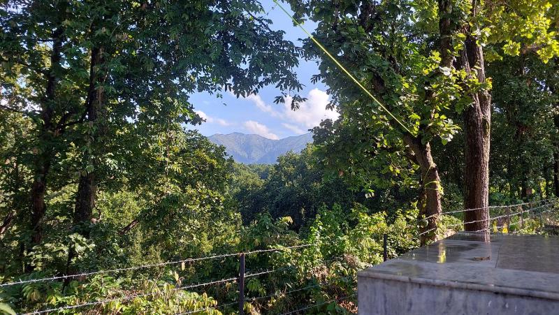 PRITHVI FOREST HOMESTAY - image 8