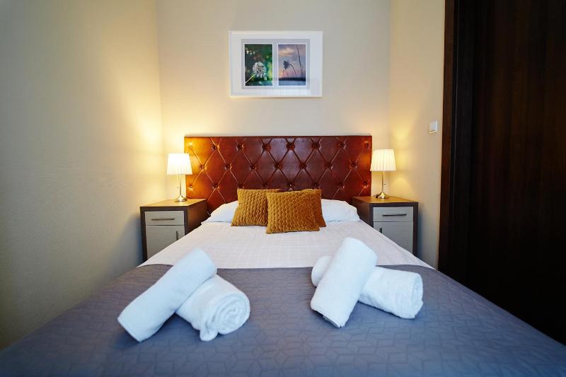One-Bedroom Apartment image 3