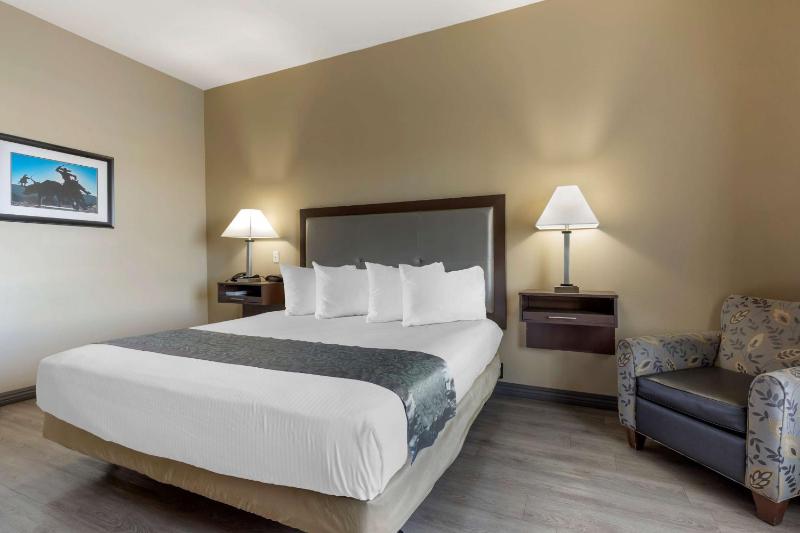King Room with Roll-In Shower - Disability Access image 3