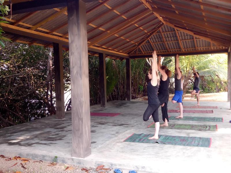 Mangrove villa - Yoga & Ayurveda - image 3