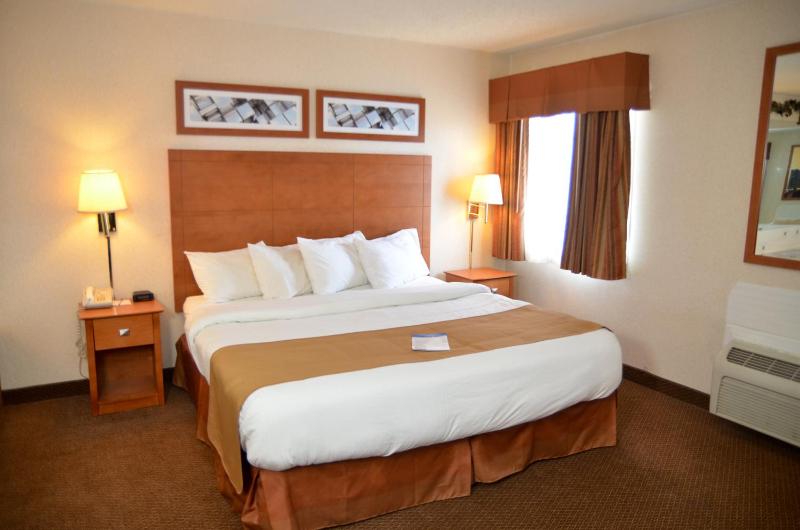 Deluxe King Suite image 1