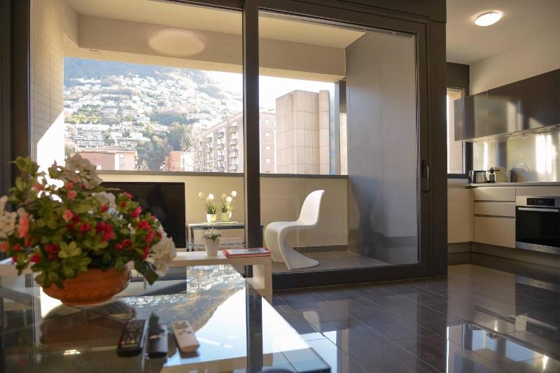 Central Plaza Apartment Br in Lugano - image 17