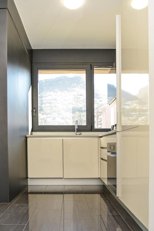 Central Plaza Apartment Br in Lugano - image 8