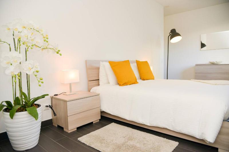 Central Plaza Apartment Br in Lugano - image 4