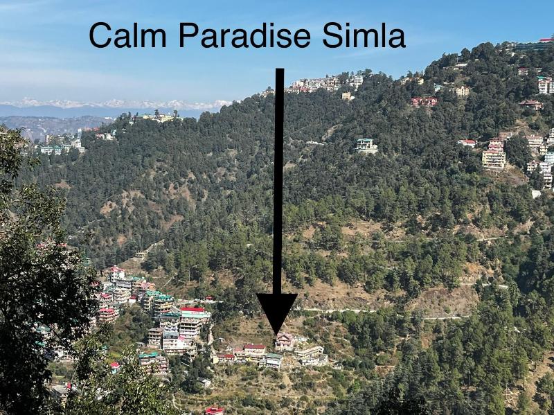 Calm Paradise - image 11
