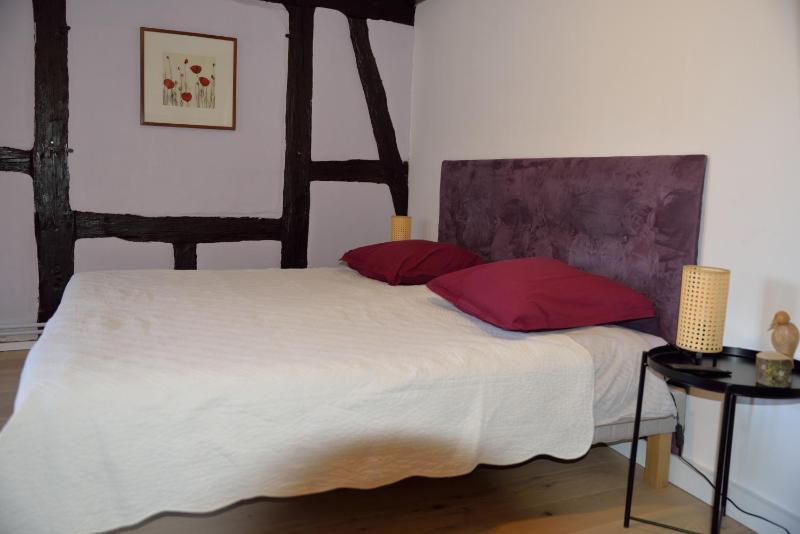 CHEZ CECILE Bed and Breakfast chez le VIGNERON - image 16
