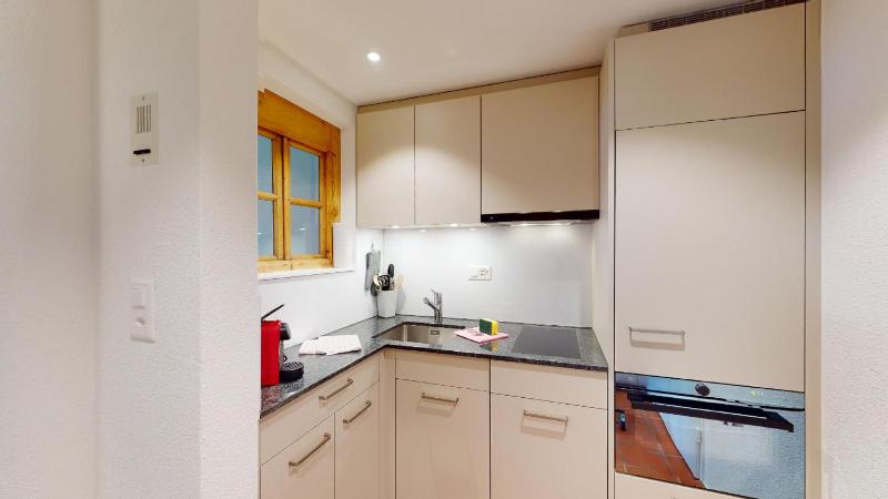 Abitaziun Caspar Badrutt 306 - St Moritz - image 20