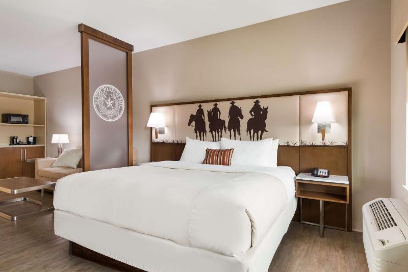 King Suite with Sofa Bed and Communication Assistance image 3