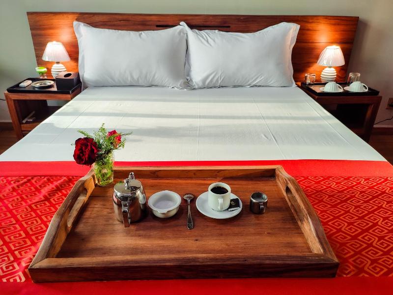 Valiha Hotel Antananarivo - image 13