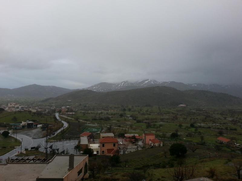 One-Bedroom Apartment image 4