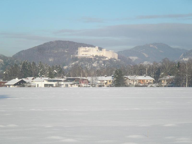 Pension Ballwein - image 13