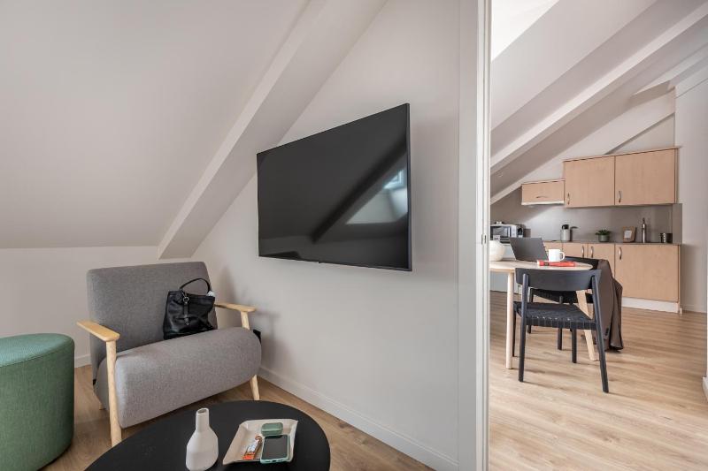 One-Bedroom Apartment image 4
