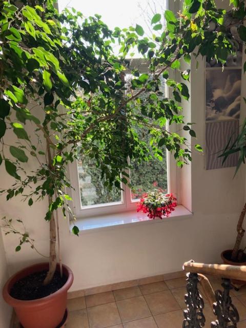 Aparthotel City 5 - image 14