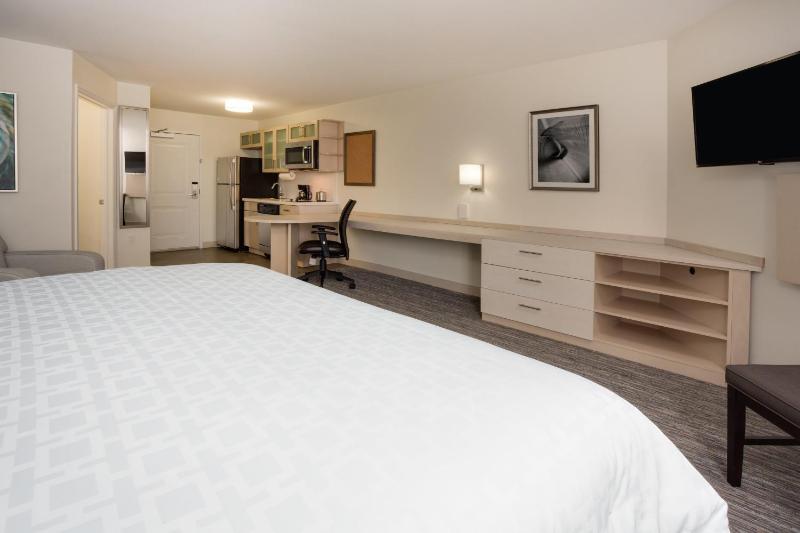 King Studio Suite image 2