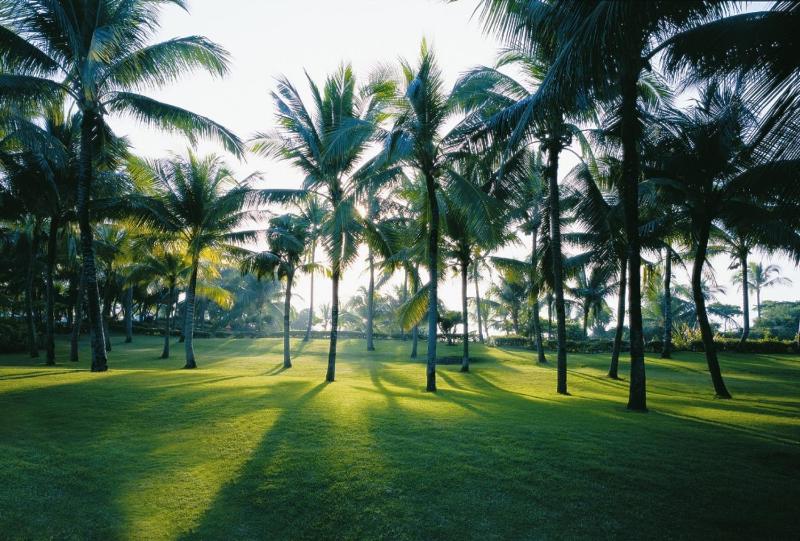 Shangri-La Mactan Cebu - image 8