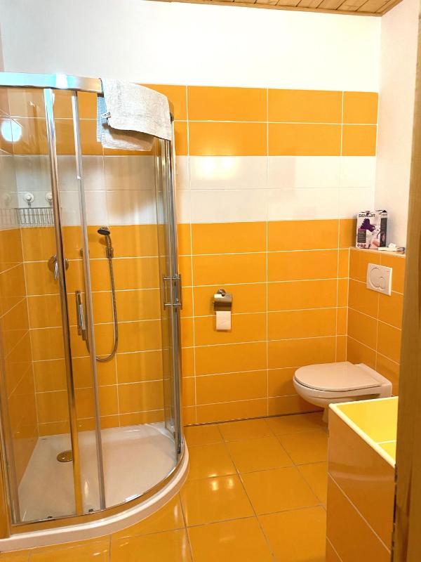 One-Bedroom Apartment image 3