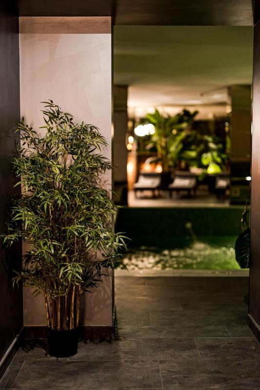 Hermanns Hotel & Spa Sibiu - image 16