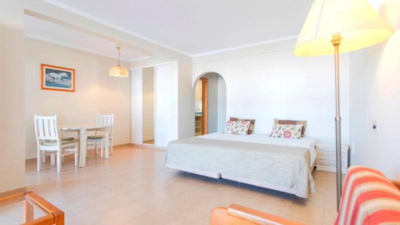 Studio Apartment image 1