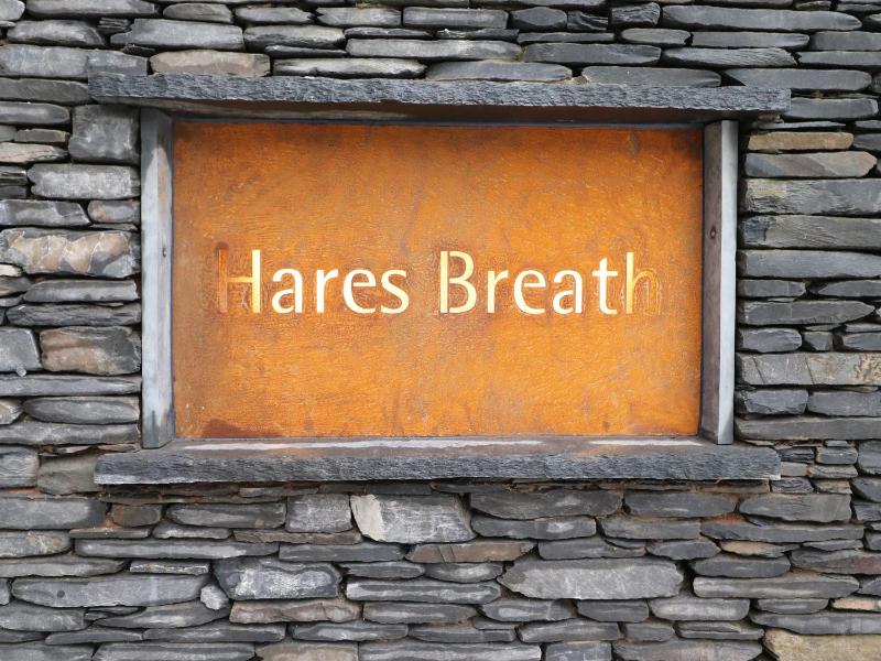 Hare's Breath - image 15