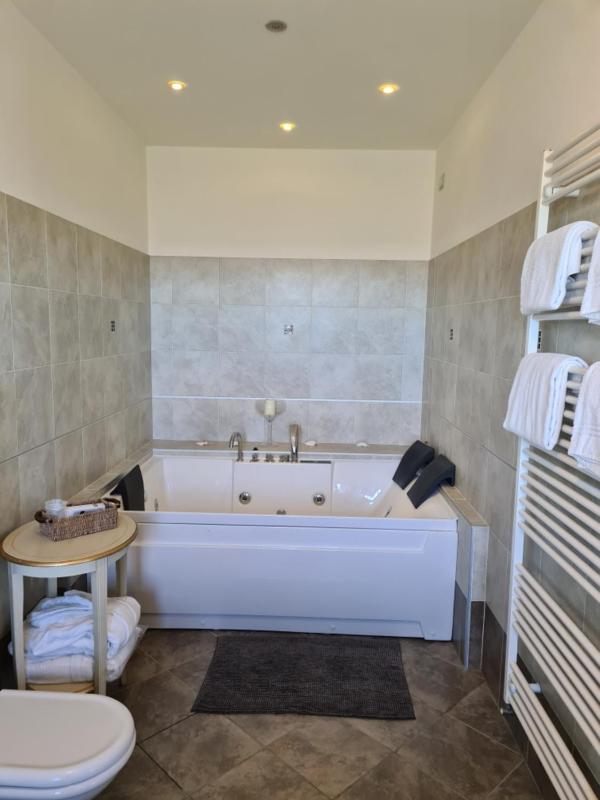 Superior Double Room image 1