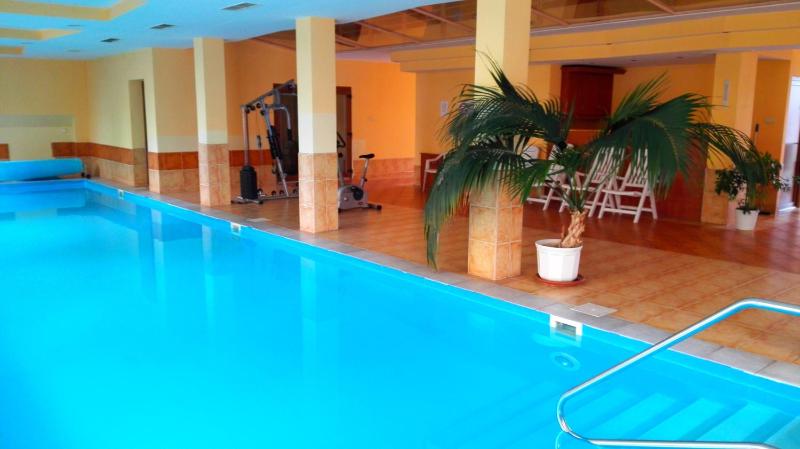 Balaton Wellness Apartman - image 24