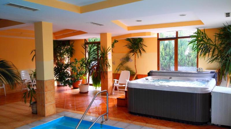Balaton Wellness Apartman - image 30