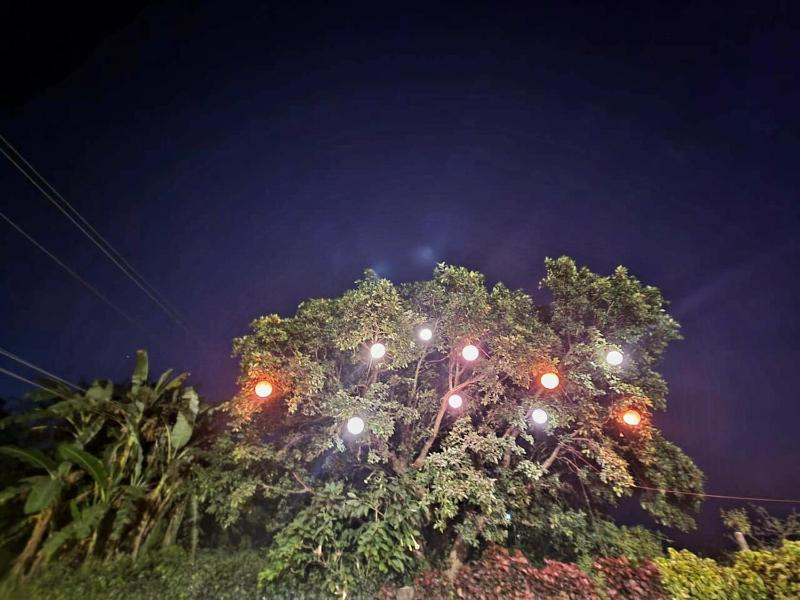RUDRASHREE VILLA - Besides Valley View - image 22