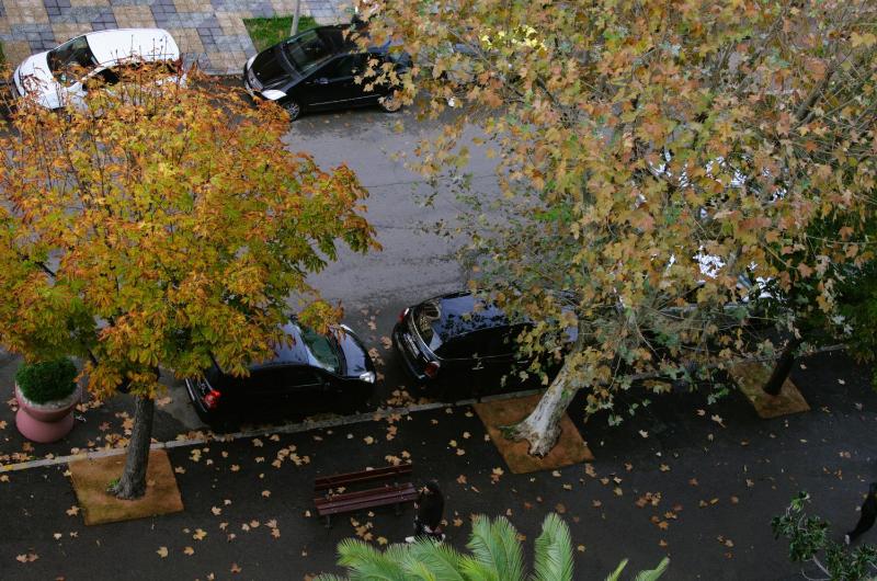 Comfort Studio image 2