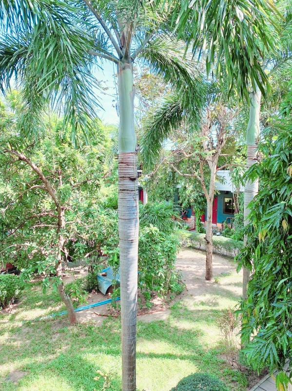 Baan Karnjana Hotel Samui - image 22
