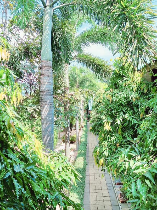 Baan Karnjana Hotel Samui - image 20