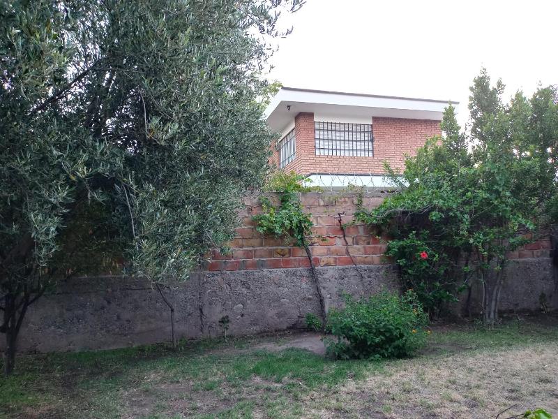 Casa Guevara - image 13