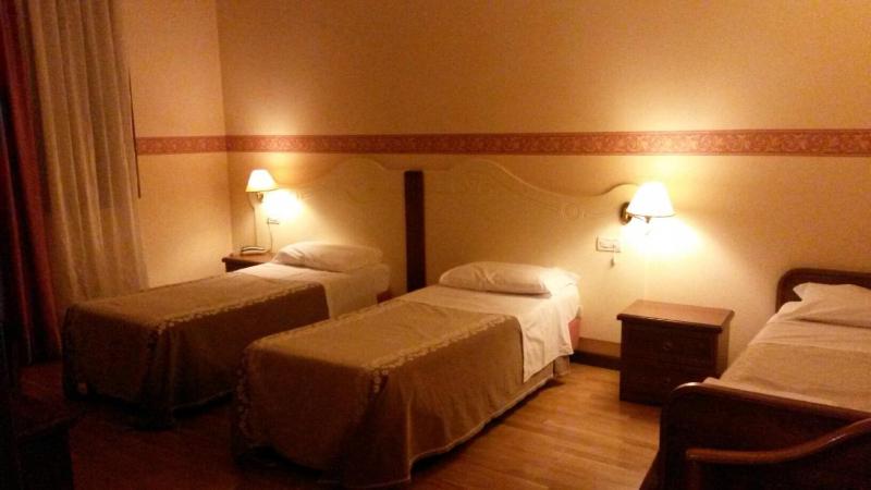 Double or Twin Room image 4