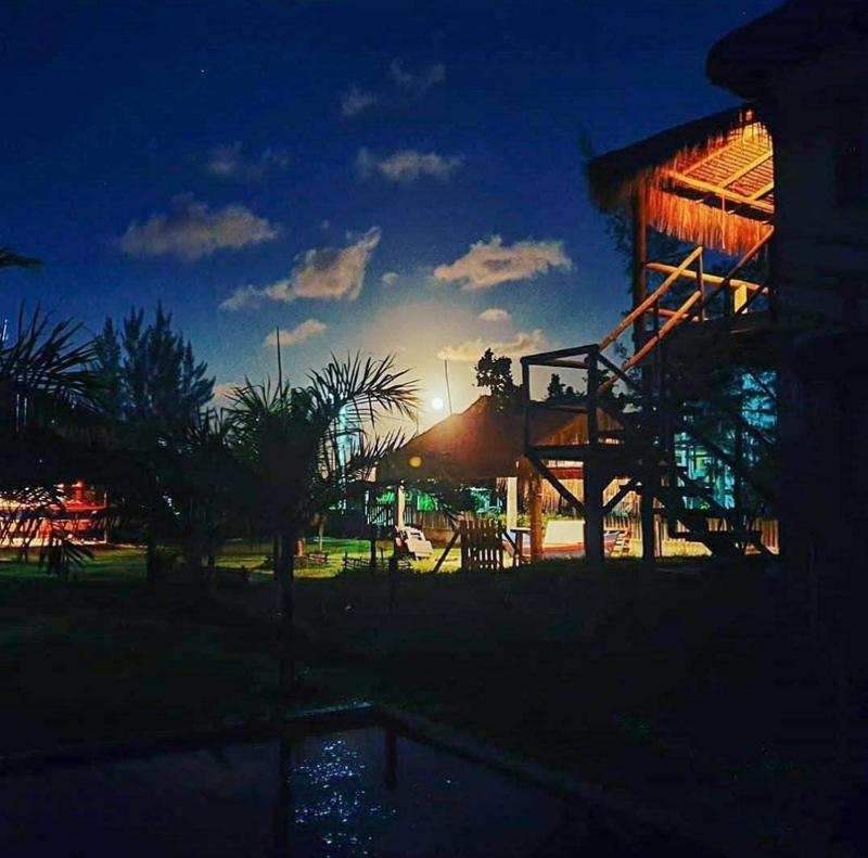 Kite Nômade - image 7