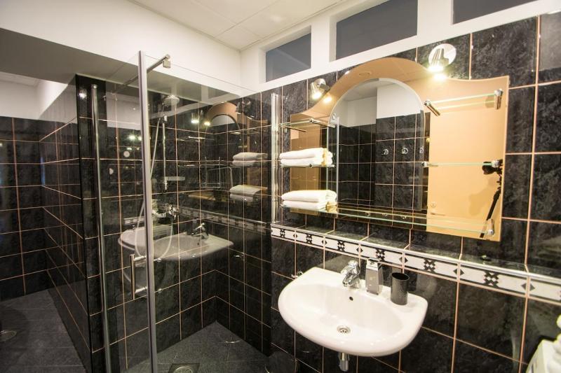 Tallinn City Apartments Luxury 4 bedroom with terrace and sauna - image 2