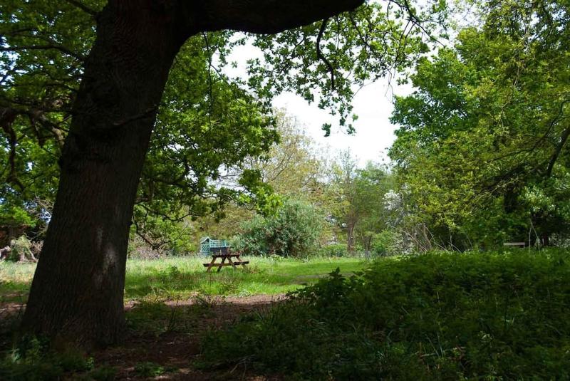 Queenies an authentic Rural Style coastal cottage in a Nature Reserve - image 32
