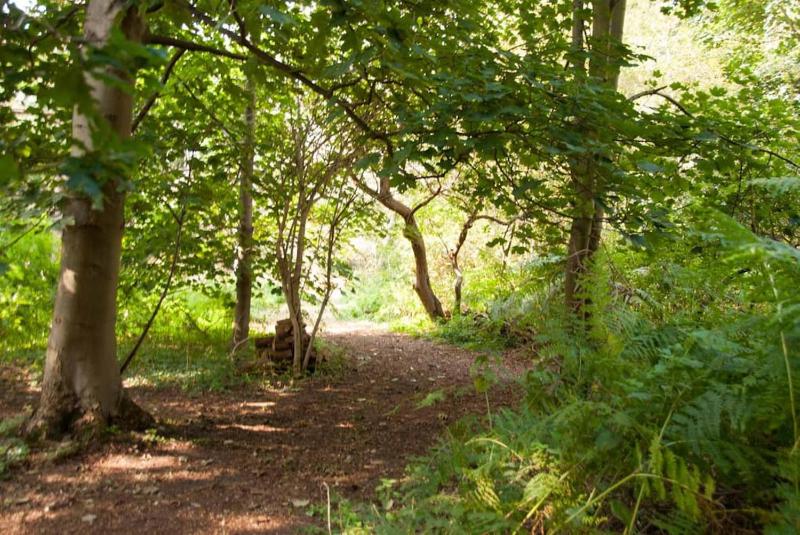 Cissys Cottage in a Nature Reserve 7 minutes from Aldeburgh seafront - image 22
