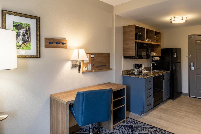 Studio Suite with Two Double Beds image 3