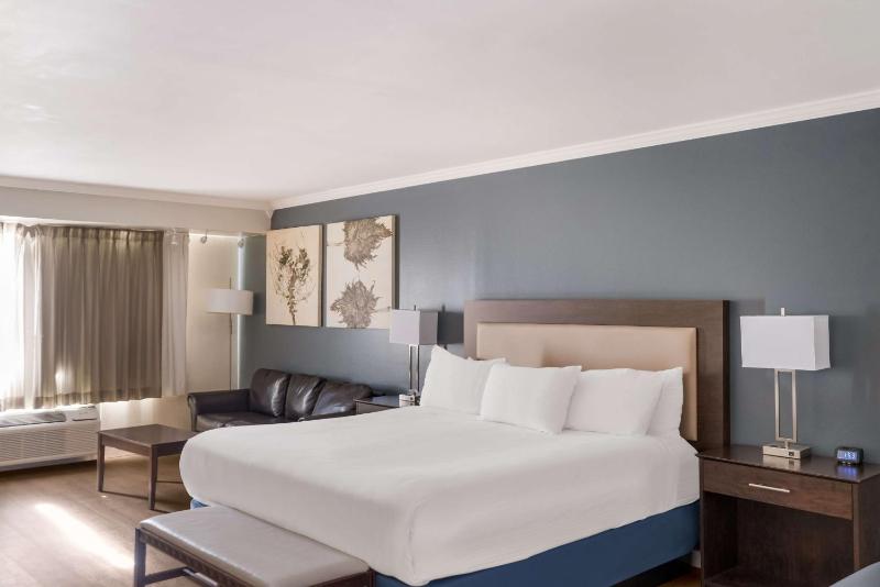 King Room image 4