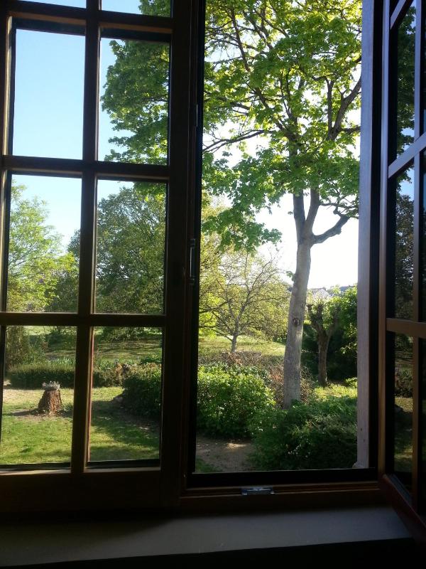 Double or Twin Room with Garden View image 1