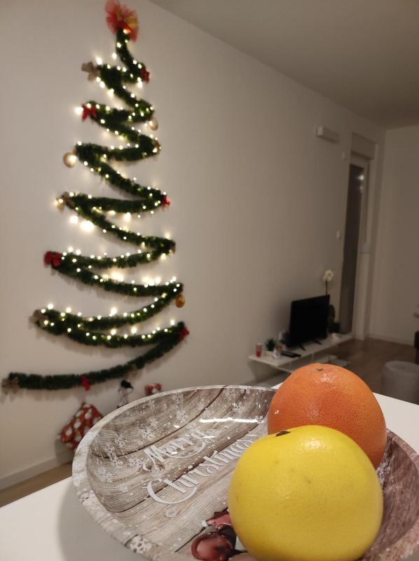 Apartman 7 Ladies - image 8