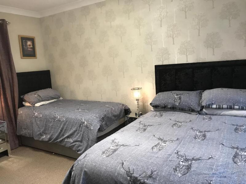 Twin Room image 2