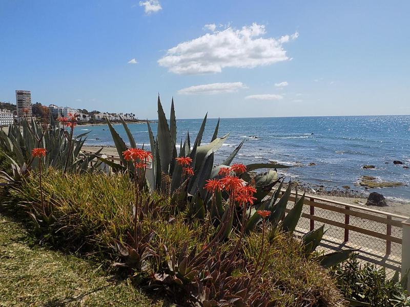 Playa Lucera - ground floor apartment with sea views CS126 - image 23