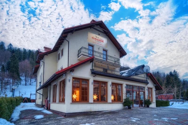 Villa Gronie Ski & Bike - image 2