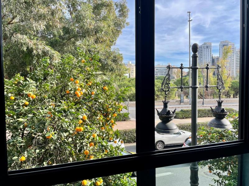 Superior Triple Room with Views image 2