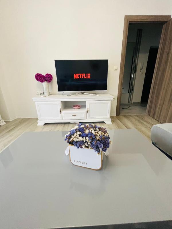Apartment Iva - image 10