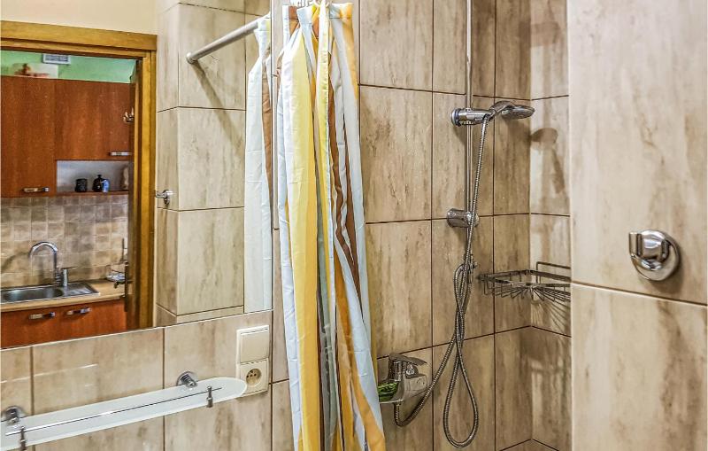 One-Bedroom Apartment image 2