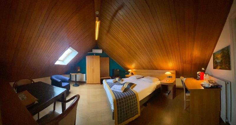 Large Twin Room image 1