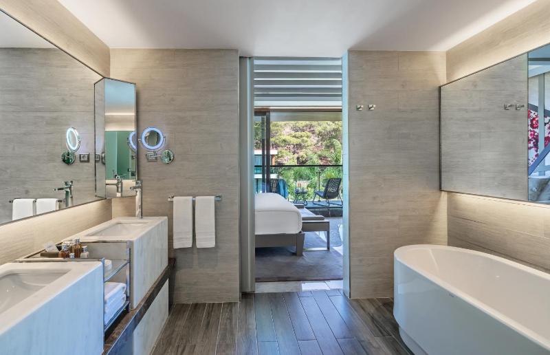 Executive Villa image 4